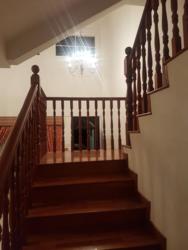 Loyang Villas (D17), Terrace #157150302